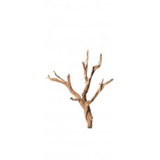 GHOSTWOOD BRANCHY Sanded 24"-30"  - OUT OF STOCK TEXAS ONLY